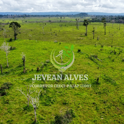 Imagem Fazenda à Venda, 4 m²em Centro - São Félix do Xingu Imagem Fazenda à Venda, 4 m²em Centro - São Félix do Xingu