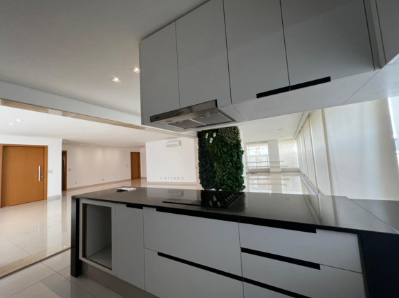 Imagem Apartamento com 3 Quartos à Venda, 306 m² em Setor Oeste - Goiânia