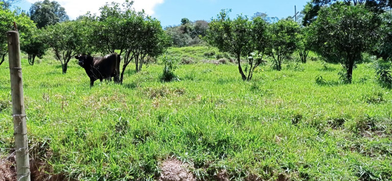 Imagem Terreno à Venda, 450.000 m² em Área Rural de Itabirito - Itabirito