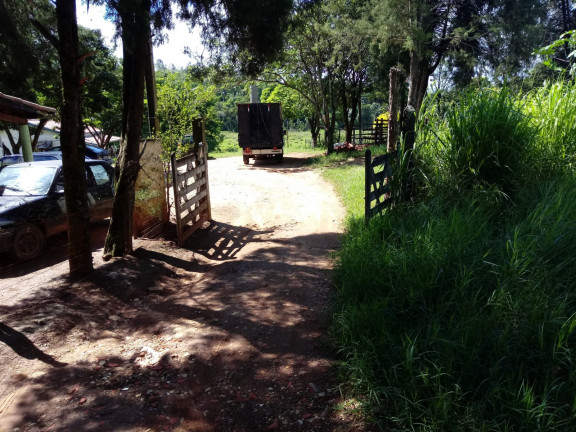 Imagem Chácara com 4 Quartos à Venda, 25.000 m²em Jardim Palmeiras - Caçapava
