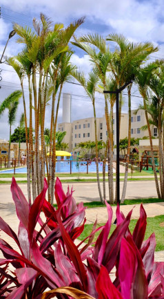 Imagem Apartamento com 2 Quartos à Venda, 42 m² em Jardins - São Gonçalo do Amarante Imagem Apartamento com 2 Quartos à Venda, 42 m² em Jardins - São Gonçalo do Amarante