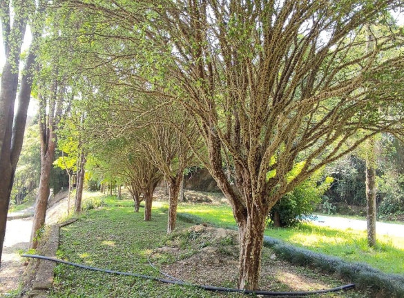 Imagem Chácara com 2 Quartos à Venda, 300 m² em Esplanada Mendes Moraes - São Roque Imagem Chácara com 2 Quartos à Venda, 300 m² em Esplanada Mendes Moraes - São Roque