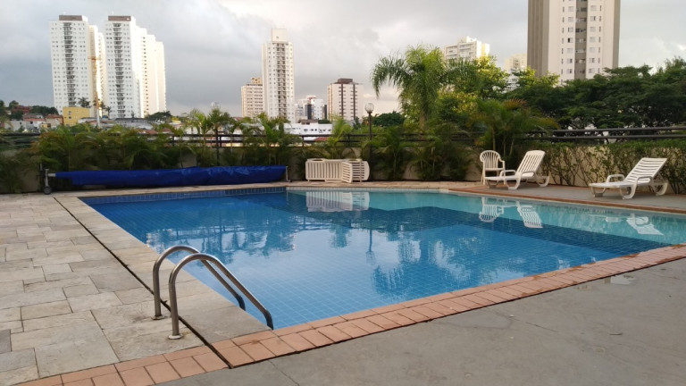 Imagem Apartamento com 3 Quartos para Alugar, 77 m² em Parque Residencial Julia - São Paulo Imagem Apartamento com 3 Quartos para Alugar, 77 m² em Parque Residencial Julia - São Paulo