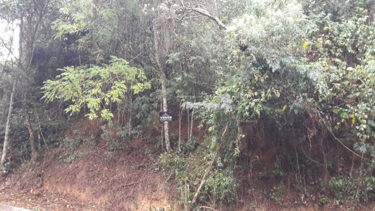 Imagem Terreno à Venda, 3.002 m² em Mata Fria - Mairiporã Imagem Terreno à Venda, 3.002 m² em Mata Fria - Mairiporã