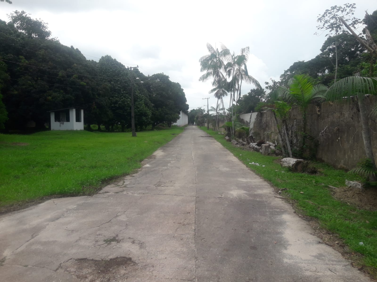 Imagem Galpão à Venda ou Locação, 10 m²em Centro - Ananindeua Imagem Galpão à Venda ou Locação, 10 m²em Centro - Ananindeua