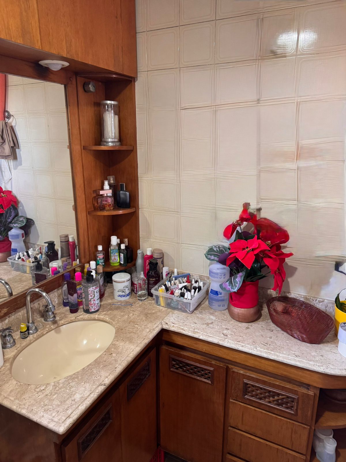 Imagem Apartamento com 2 Quartos à Venda ou Locação, 62 m² em Vila Mascote - São Paulo