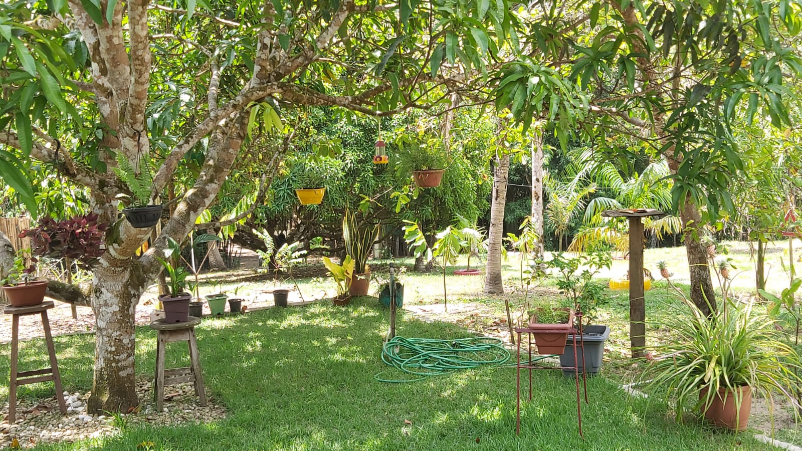 Imagem Chácara com 2 Quartos à Venda, 47 m²em Zona Rural - Santa Maria do Pará Imagem Chácara com 2 Quartos à Venda, 47 m²em Zona Rural - Santa Maria do Pará