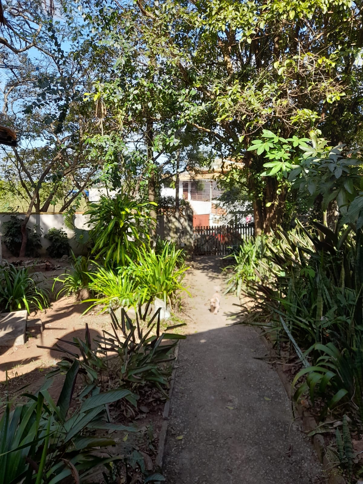 Imagem Terreno à Venda, 1.350 m² em Praia Rasa - Armação dos Búzios