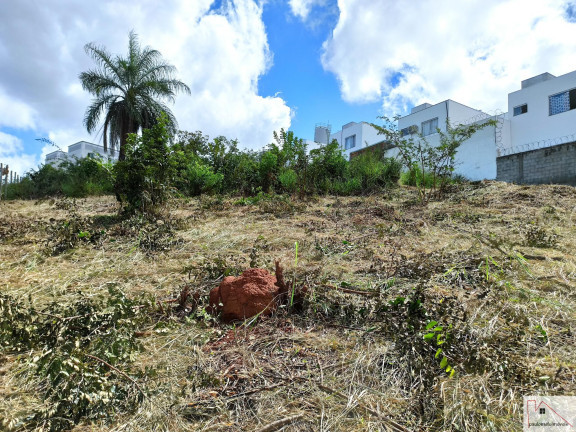 Imagem Terreno à Venda, 2.162 m² em Chácaras Cotia - Contagem