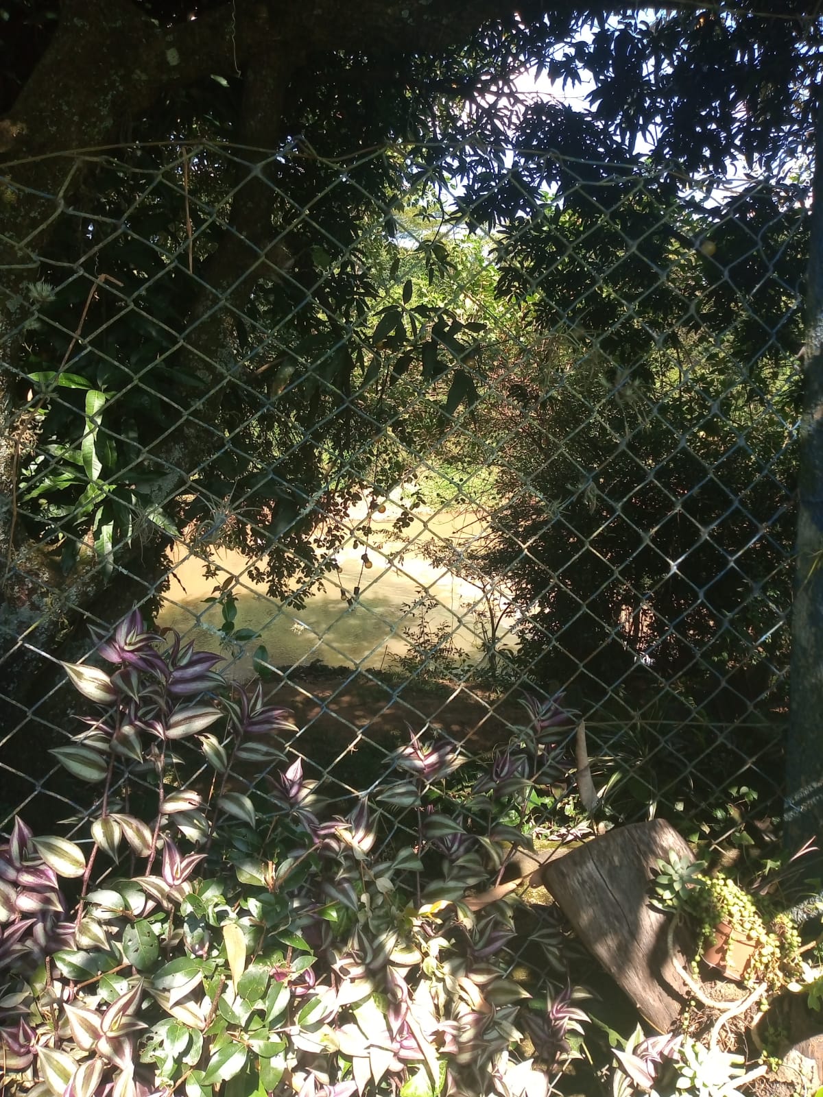Imagem Chácara com 4 Quartos à Venda, 3 m²em Chácara Barreiro - Jaguariúna