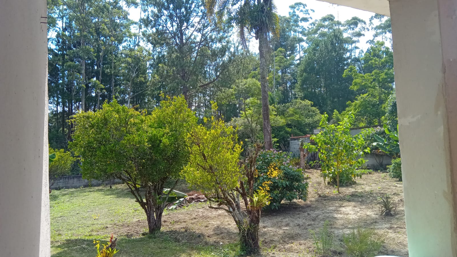 Imagem Chácara com 1 Quarto à Venda, 1 m²em Veraneio Paulistinha - Embu-Guaçu Imagem Chácara com 1 Quarto à Venda, 1 m²em Veraneio Paulistinha - Embu-Guaçu