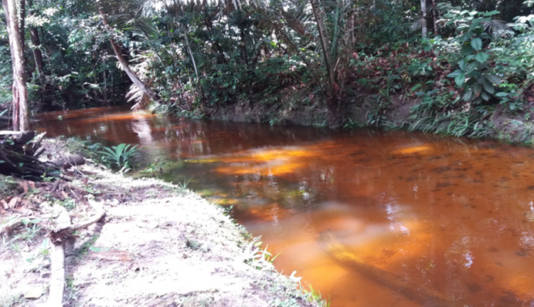 Imagem Chácara com 4 Quartos à Venda, em Ramal urubui - Presidente Figueiredo Imagem Chácara com 4 Quartos à Venda, em Ramal urubui - Presidente Figueiredo