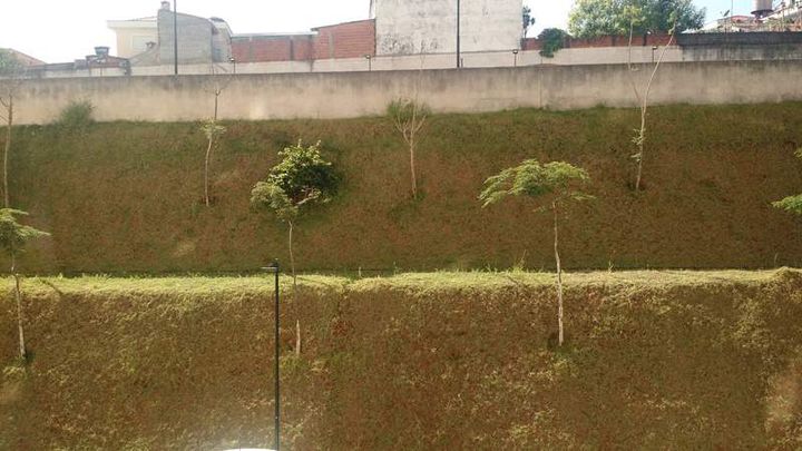 Imagem Apartamento com 2 Quartos para Alugar, 51 m² em Umuarama - Osasco Imagem Apartamento com 2 Quartos para Alugar, 51 m² em Umuarama - Osasco