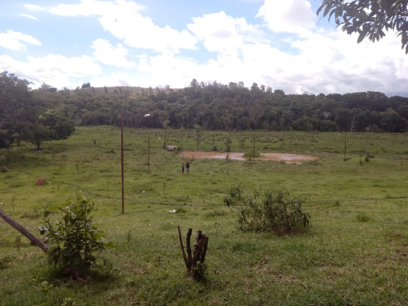 Imagem Chácara com 2 Quartos à Venda, 25.000 m² em Jardim Palmeiras - Caçapava