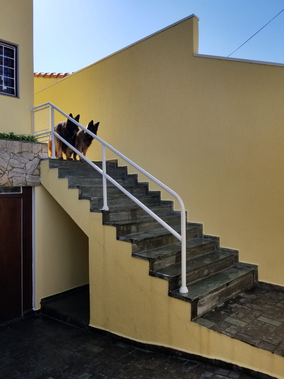 Imagem Sobrado com 3 Quartos à Venda, 125 m²em Vila Floresta - Santo André