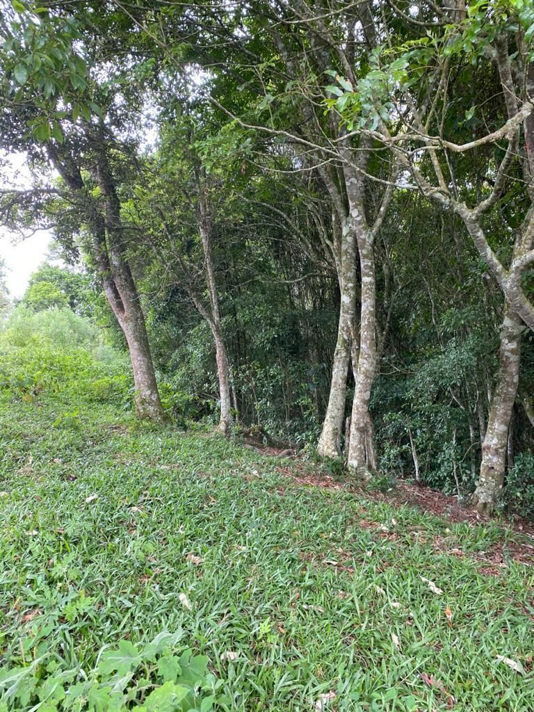 Imagem Chácara com 3 Quartos à Venda, 98 m²em Demoras - Alfredo Wagner