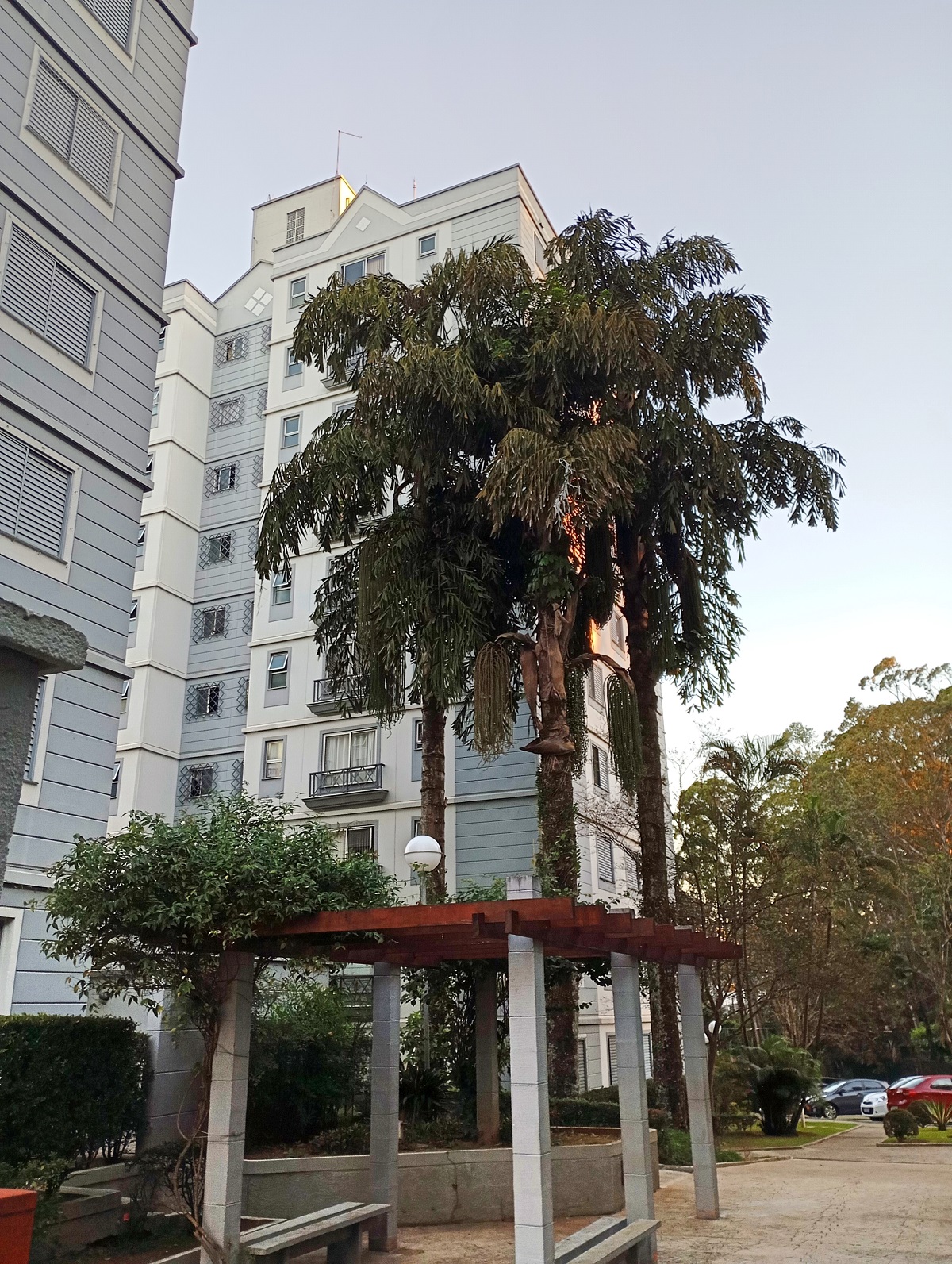 Imagem Apartamento com 2 Quartos à Venda, 61 m² em Vila Santa Teresa (Zona Sul) - São Paulo