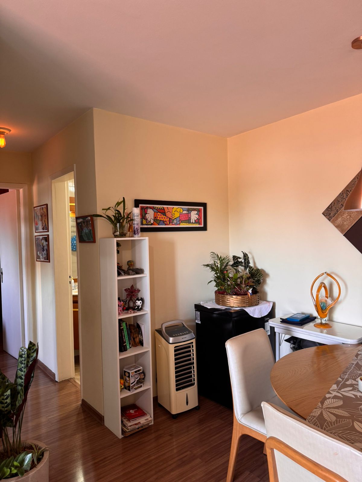 Imagem Apartamento com 2 Quartos à Venda ou Locação, 62 m² em Vila Mascote - São Paulo