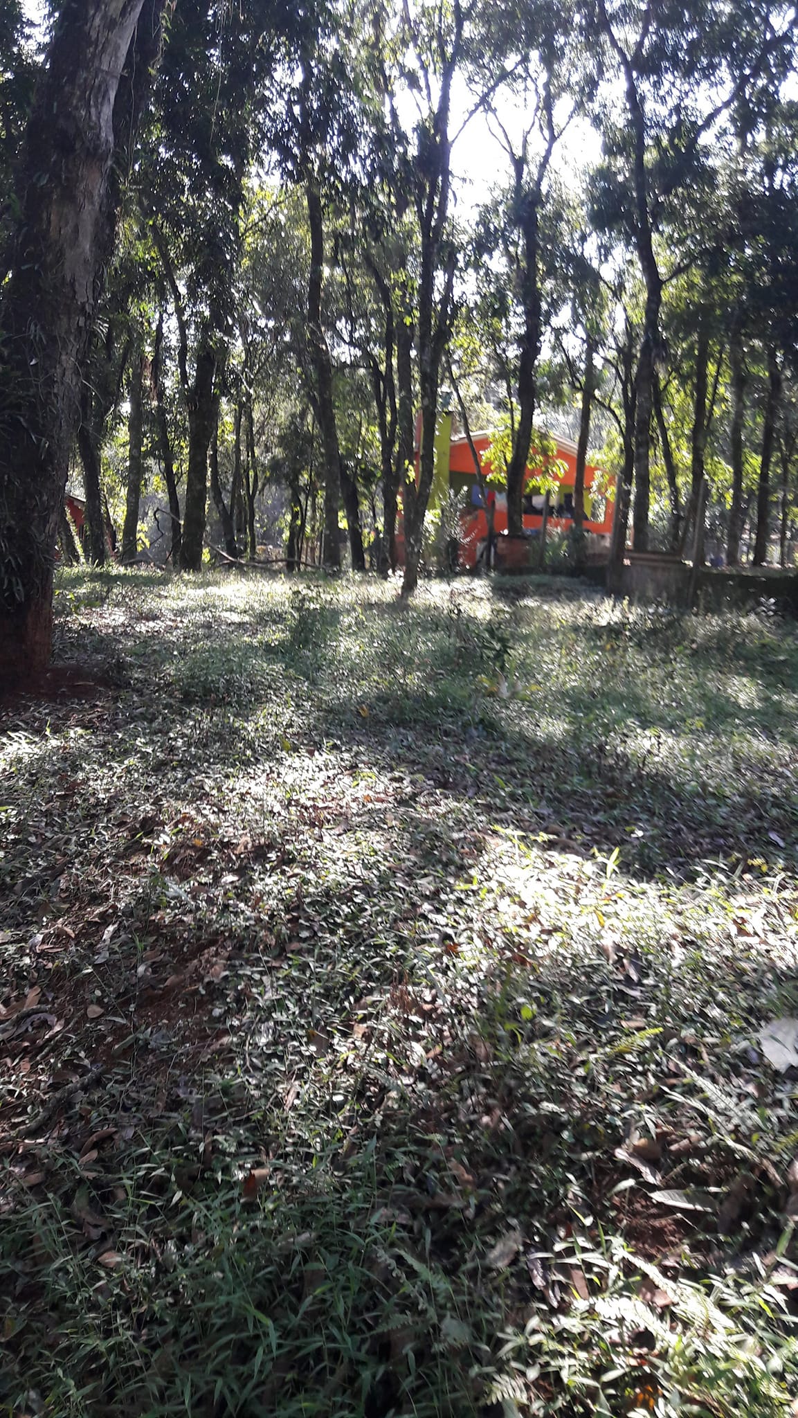 Imagem Terreno à Venda, 3 m²em Efapi - Chapecó