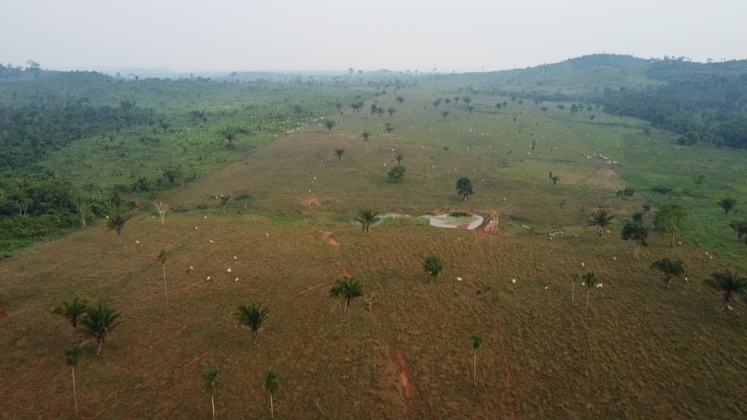 Imagem Fazenda à Venda, 1 m²em Centro - São Félix do Xingu Imagem Fazenda à Venda, 1 m²em Centro - São Félix do Xingu