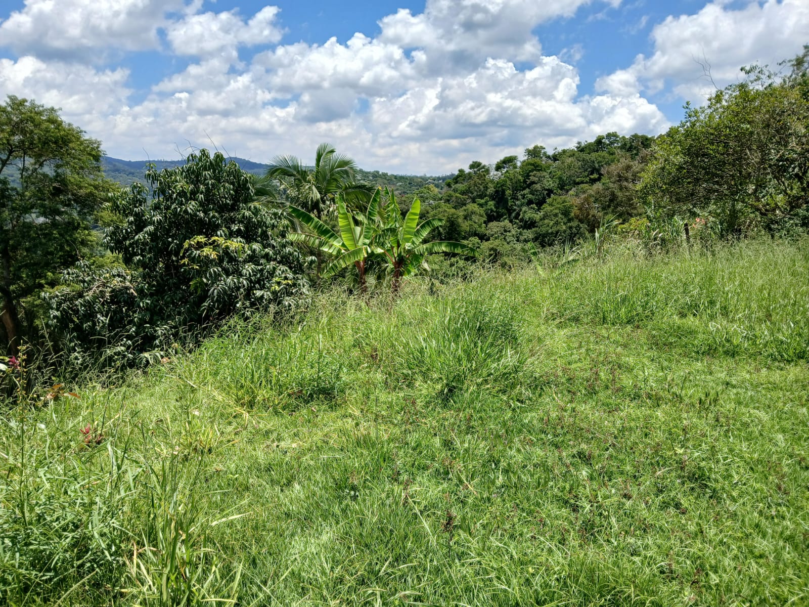 Imagem Chácara à Venda, 50 m²em Ponunduva - Cajamar Imagem Chácara à Venda, 50 m²em Ponunduva - Cajamar