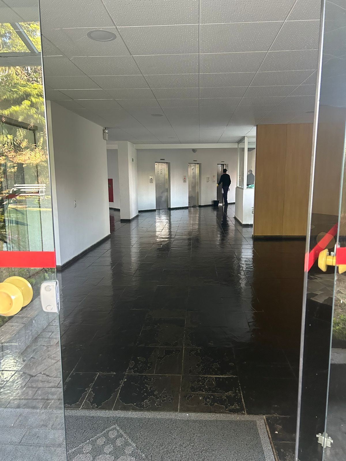 Imagem Apartamento com 2 Quartos à Venda ou Locação, 63 m² em Vila São Paulo - São Paulo Imagem Apartamento com 2 Quartos à Venda ou Locação, 63 m² em Vila São Paulo - São Paulo