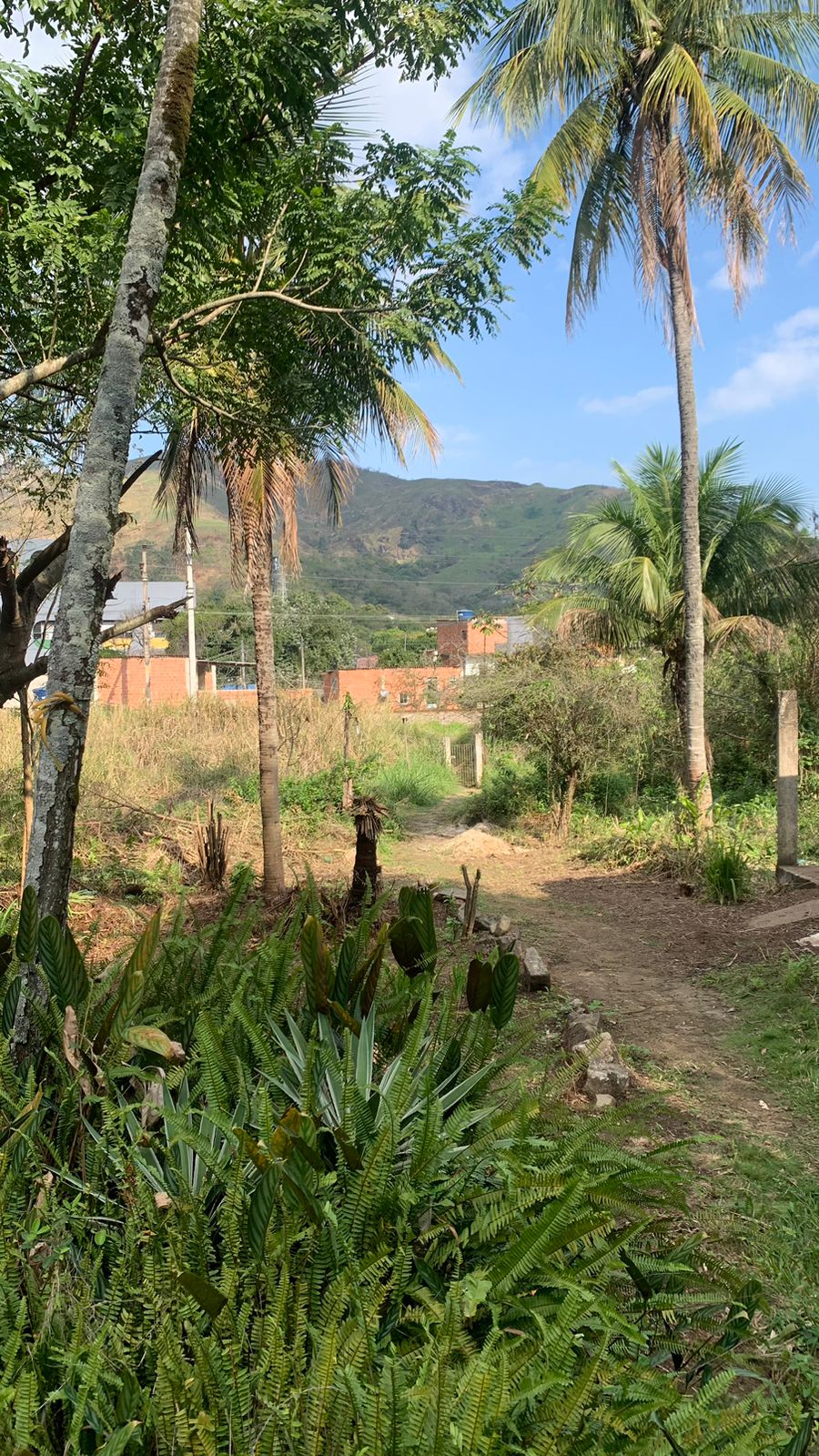 Imagem Terreno à Venda, 17.850 m² em Realengo - Rio de Janeiro