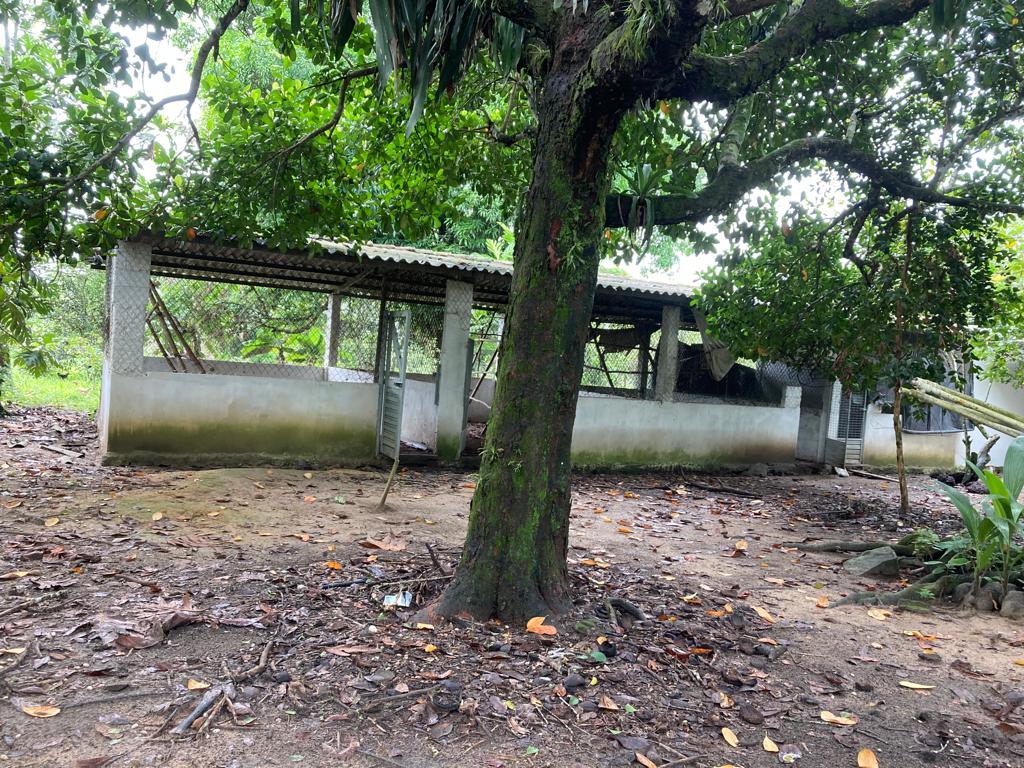 Imagem Imóvel com 5 Quartos à Venda, 400 m²em Murutuba - Cachoeira Imagem Imóvel com 5 Quartos à Venda, 400 m²em Murutuba - Cachoeira