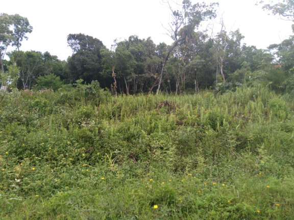 Imagem Terreno à Venda, 280 m² em Jd. Marambá - Itanhaém Imagem Terreno à Venda, 280 m² em Jd. Marambá - Itanhaém