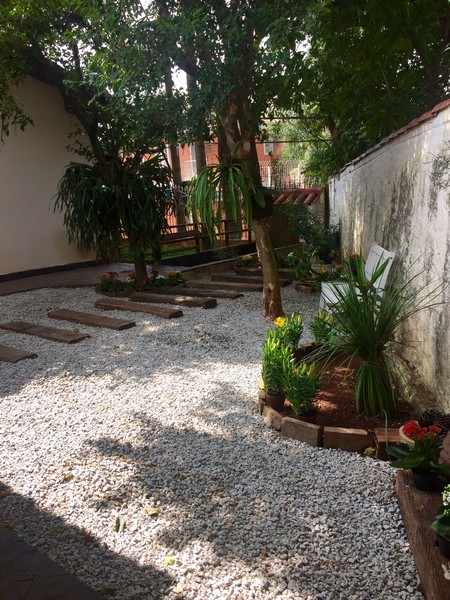 imagem de decoração
