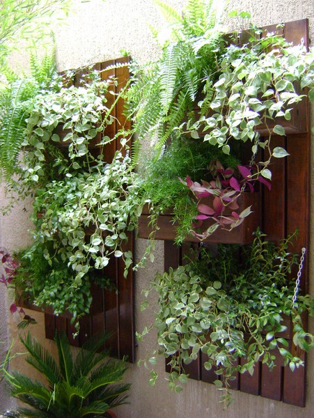 imagem de decoração