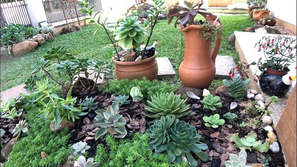 imagem de decoração