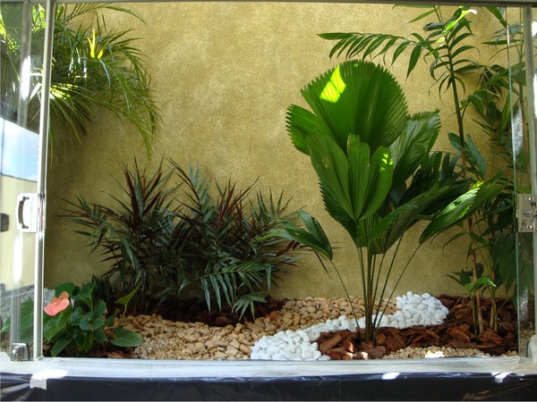 imagem de decoração