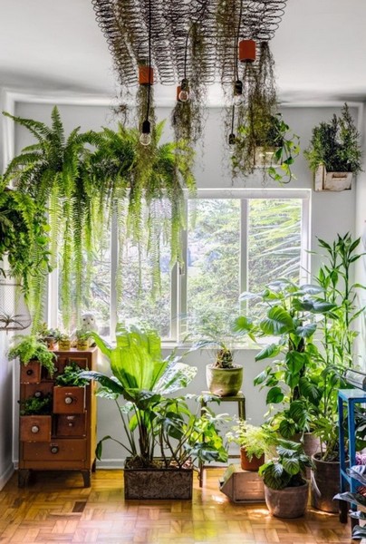 imagem de decoração