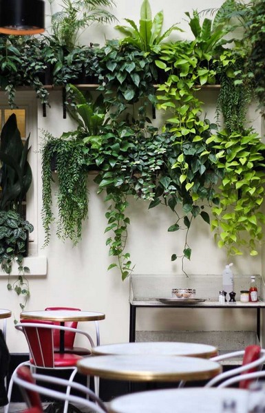 imagem de decoração