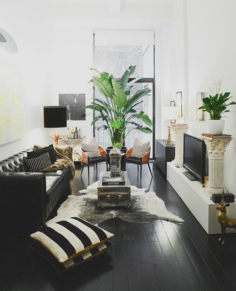 imagem de decoração