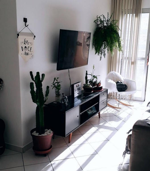 imagem de decoração