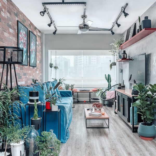 imagem de decoração