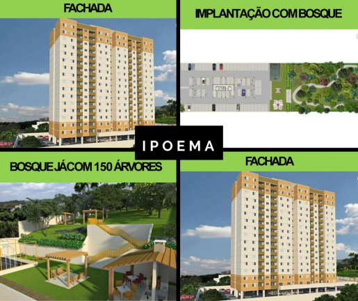 Imagem Apartamento com 2 Quartos à Venda, 47 m²em Vila Nova Parada - São Paulo Imagem Apartamento com 2 Quartos à Venda, 47 m²em Vila Nova Parada - São Paulo