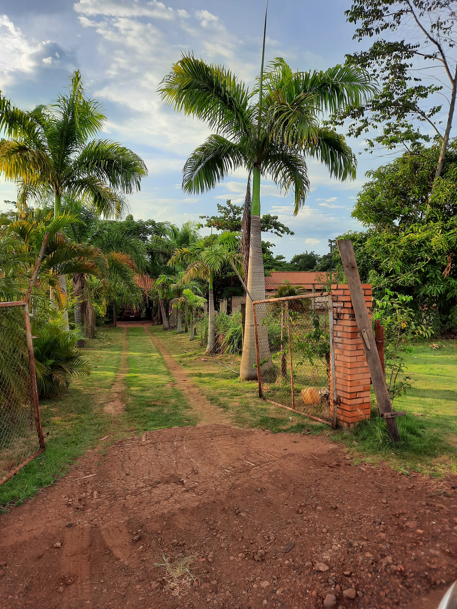 Imagem Chácara com 3 Quartos à Venda, 6.000 m²em ÁGUA DO JAU - Cambará