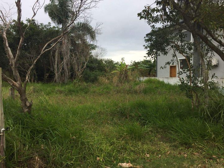 Imagem Terreno à Venda, 231 m² em Rio Vermelho - Florianópolis