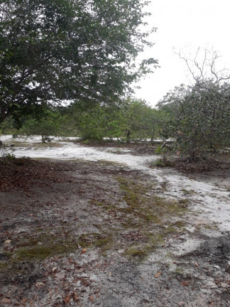 Imagem Chácara à Venda, 34.000 m² em Aparecida - Manacapuru