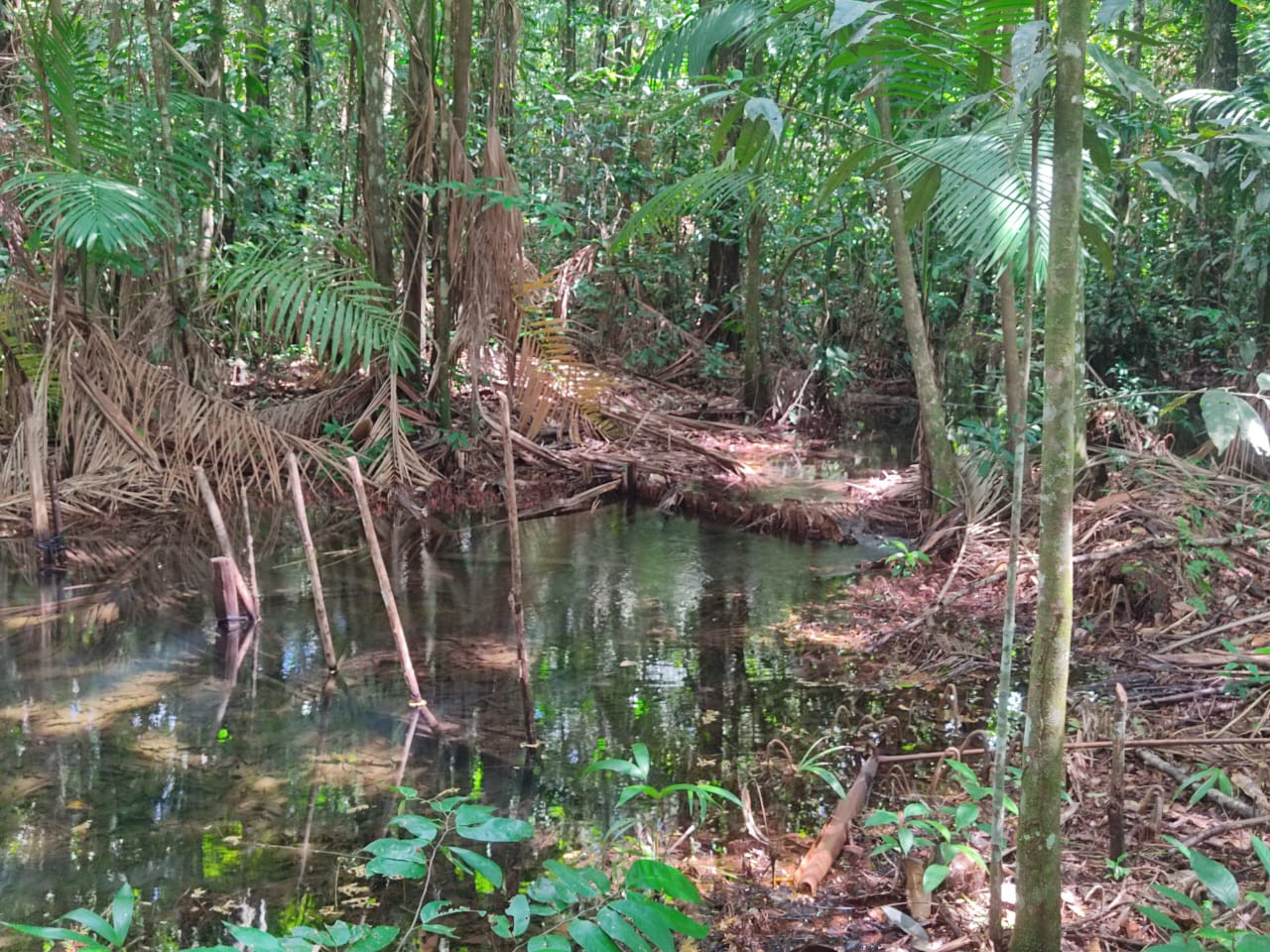 Imagem Terreno à Venda, 300.000 m² em - Bujaru Imagem Terreno à Venda, 300.000 m² em - Bujaru