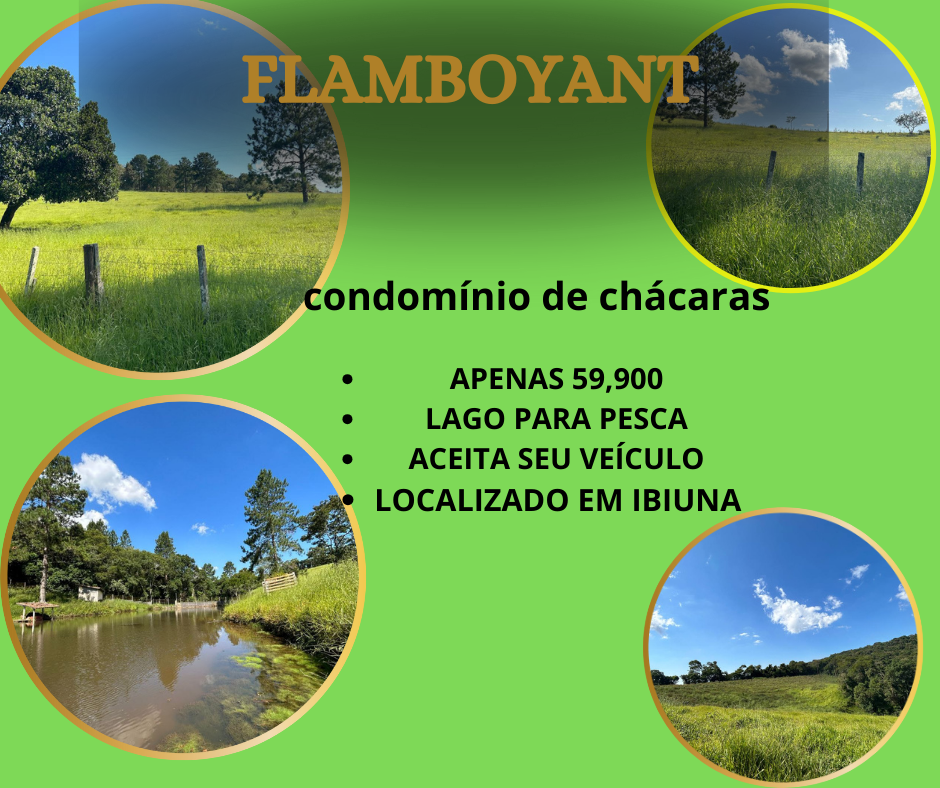 Imóvel