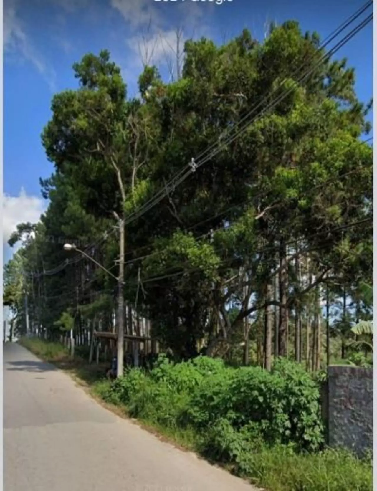 Imagem Terreno à Venda, 54 m²em Jardim Campestre - Embu-Guaçu