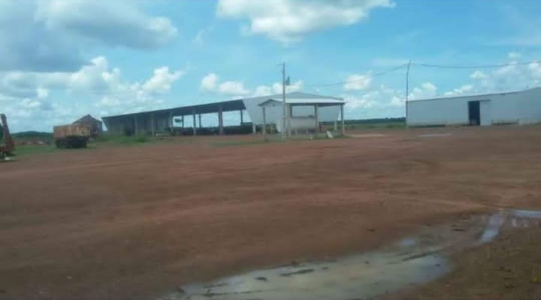 Imagem Imóvel à Venda, em Zona Rural - Confresa