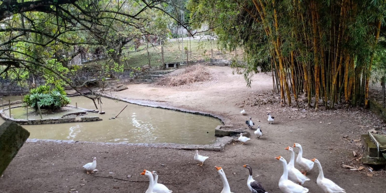 Imagem Chácara com 12 Quartos à Venda, em Centro - Santa Isabel Imagem Chácara com 12 Quartos à Venda, em Centro - Santa Isabel