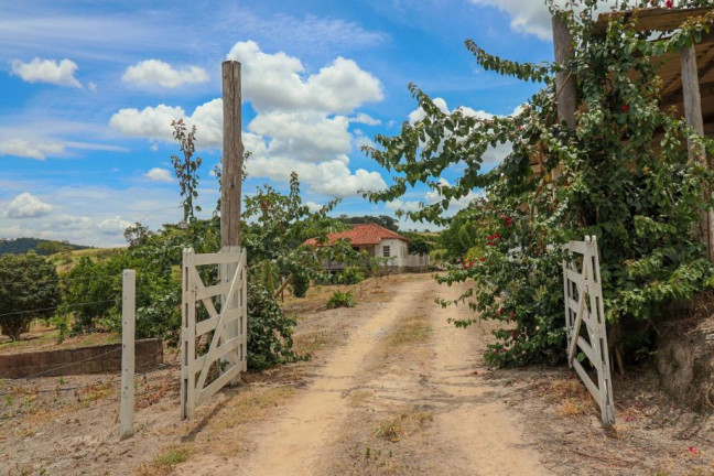 Imagem Fazenda à Venda, 85.000 m² em zona rural - Belo Vale