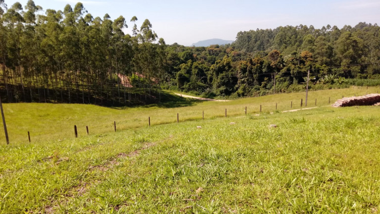 Imagem Terreno à Venda,  em Barracão - Orleans