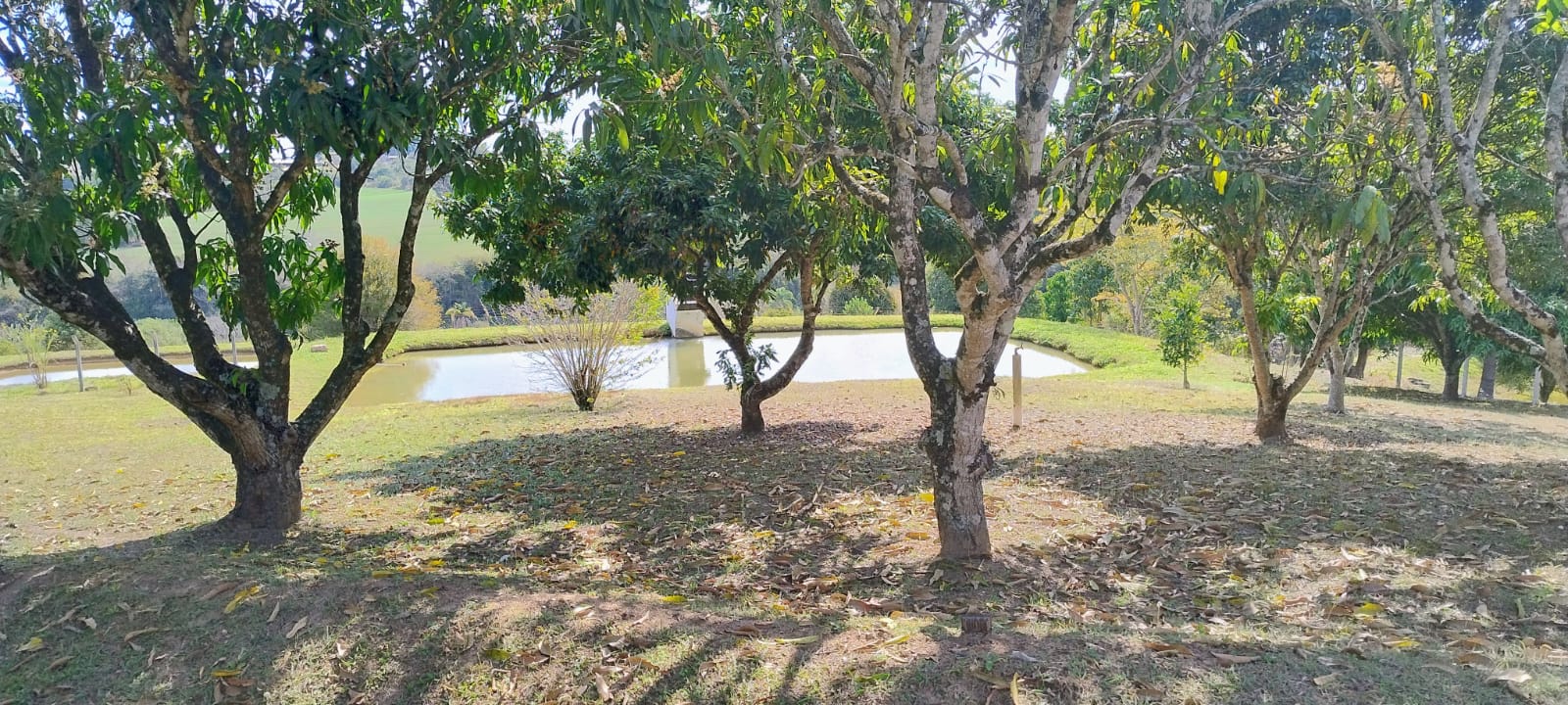 Imagem Chácara com 6 Quartos à Venda, 512 m² em rural - Araçoiaba da Serra